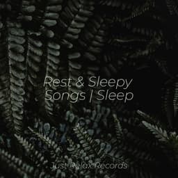 Rest & Sleepy Songs | Sleep - Study Hard
