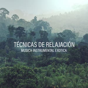 Técnicas de Relajación: Musica Instrumental Exotica, Energia Positiva en el Selva Tropical - Música Zen Relajante Conjunto