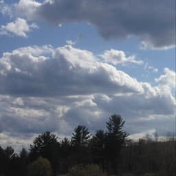 For the Love of Beautiful Melodies - David Bond