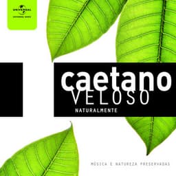 Caetano Veloso Naturalmente - Caetano Veloso