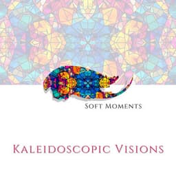 Kaleidoscopic Visions - Soft Moments