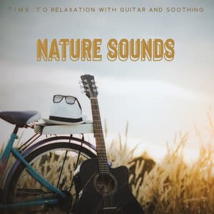 Time to Relaxation with Guitar and Soothing Nature Sounds : Meditation Music Collection - Lover of New Age Nature