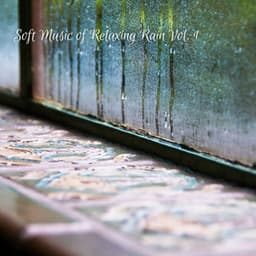 Soft Music of Relaxing Rain Vol. 1 - The Sound Of The Rain