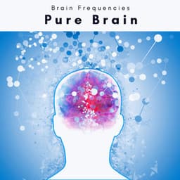 Pure Brain - Imaginacoustics
