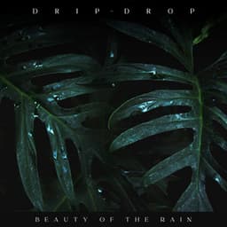 Drip-drop Beauty of the Rain - Sample Rain Library