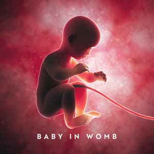 Baby In Womb - Theo Lärm