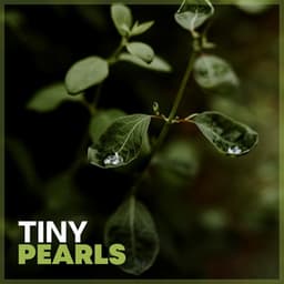 Tiny Pearls - Rain and Chill