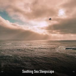!!!!" Soothing Sea Sleepscape "!!!! - Ocean Waves