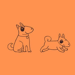 Groovy Ambiance for Chilled Pooches - Doggy Relaxing Sounds