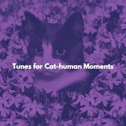 Tunes for Cat-human Moments - Música para Concentrarse Radio