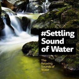 #Settling Sound of Water - The Relaxing Sounds of Water