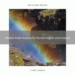 Mother Earth Sounds for Perfect Nights and Chillout - Forest Sounds For Relaxation