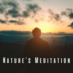 Nature's Meditation: Ambient Sounds for Deep Reflection - Nature TV