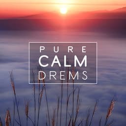 Pure Calm Drems – True Sleep Collection. Deep Rest Therapy Sounds, Sleep Better, Nature New Age - Deep Sleep