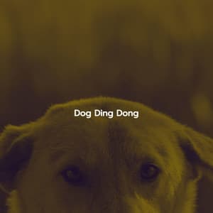 Dog Ding Dong - Música para Hoteles Lujo