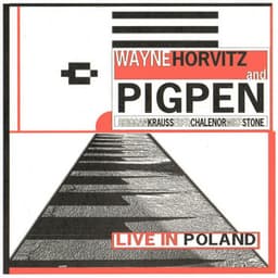 Live in Poland - Wayne Horvitz