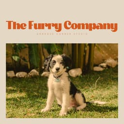 The Furry Company - Official Pet Care Collection