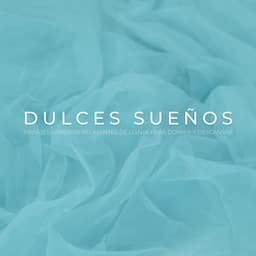 Dulces Sueños: Paisajes Sonoros Relajantes De Lluvia Para Dormir Y Descansar - Sonidos de lluvia para conciliar el sueño