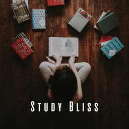 Study Bliss: Lofi and Chill Muic for Intellectual Flow - The Lofi King