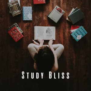Study Bliss: Lofi and Chill Muic for Intellectual Flow - The Lofi King