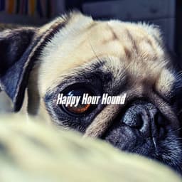 Happy Hour Hound - Classy Relaxing Dog Music