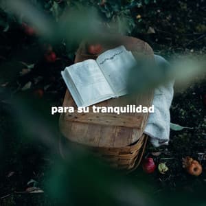 para su tranquilidad - Instrumental Background Music