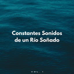 Constantes Sonidos De Un Río Soñado Vol. 1 - Corrientes de sueños