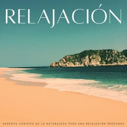 Relajación: Serenos Sonidos De La Naturaleza Para Una Relajación Profunda - Perspectiva de la naturaleza