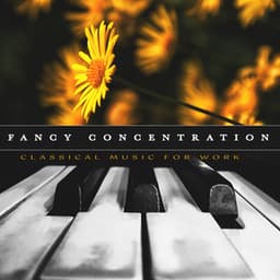 Fancy Concentration - Classical Music For Work