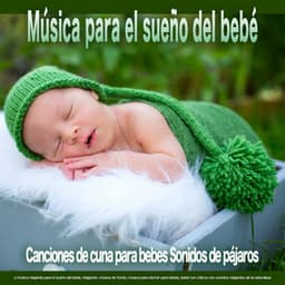 Música para el sueño del bebé: Canciones de cuna para bebes Sonidos de pájaros y música relajante para el sueño del bebé, relajación, música de fondo, música para dormir para bebés, bebé con cólicos con sonidos relajantes de la naturaleza. - Canciones de cuna para bebés