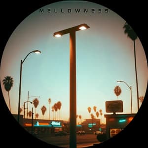 Mellowness: The Brass House - Chill Out Zone