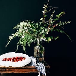 木々＆音楽 - Afternoon Tea Bossa Nova Playlist