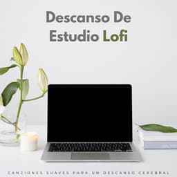 Descanso De Estudio Lofi: Canciones Suaves Para Un Descanso Cerebral - Estudio lofi