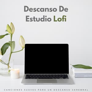 Descanso De Estudio Lofi: Canciones Suaves Para Un Descanso Cerebral - Estudio lofi