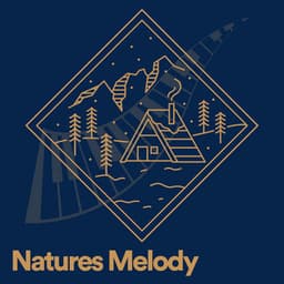 Natures Melody - Nature Sounds Artists
