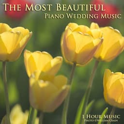 The Most Beautiful Piano Wedding Music - 1 Hour Music