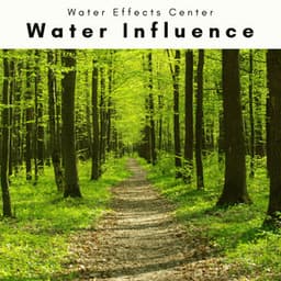 A Water Influence - Water Effects Center