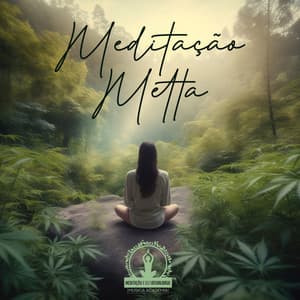 Meditação Metta: O Coração Ilimitado da Bondade Amorosa - Meditação e Espiritualidade Musica Academia