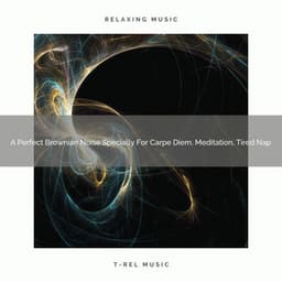 A Perfect Brownian Noise Specially For Carpe Diem, Meditation, Tired Nap - White Noise Healing Center