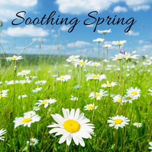 Soothing Spring - Natural Samples
