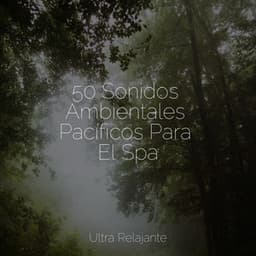 50 Sonidos Ambientales Pacíficos Para El Spa - Naturaleza Sonidos