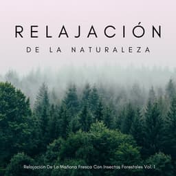 Relajación De La Naturaleza: Relajación De La Mañana Fresca Con Insectos Forestales Vol. 1 - Grillos Cantantes