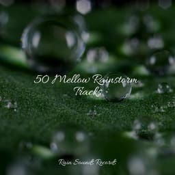 50 Mellow Rainstorm Tracks - Relajacion Del Mar