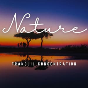 Tranquil Concentration: Serene Soundscapes - Music for Focus Vibes