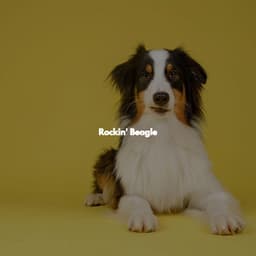 Rockin' Beagle - Montreal Jazz Classics