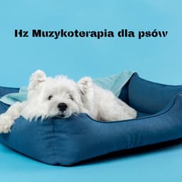 Hz Muzykoterapia dla psów: Kojące dzwięki dla uszu psa, Relaksujący spokój dla zwierząt samych w domu - Częstotliwość 432Hz
