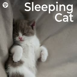 Sleeping Cat - The Cat Relaxer