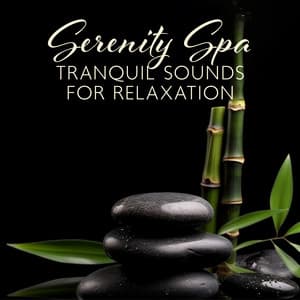 Serenity Spa: Tranquil Sounds for Relaxation - Meditation Spa