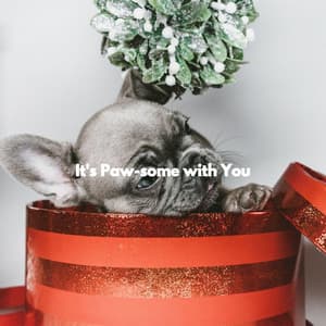 It's Paw-some with You - Elevator Music Project