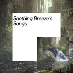 Soothing Breeze's Songs - Nature Meditation Channel